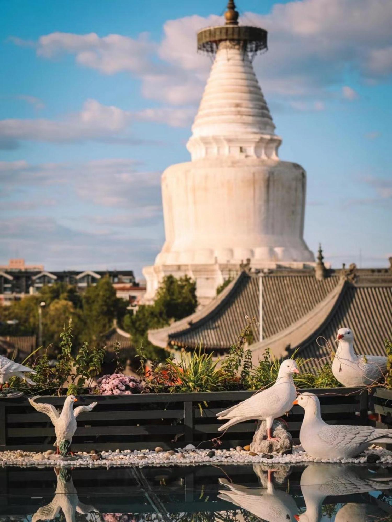 East Sacred Hotel ᴸᴱo---Foreign Accept---Tourism Service English-Speaking 丨 Near Tiananmen Forbidden City丨very Close To Metro Zhangzizhong And Beixinqiao 丨european Foot Ball English丨free Advance Tickets And Laundry Drying Service Coffee Snacks Bắc Kinh Ngoại thất bức ảnh
